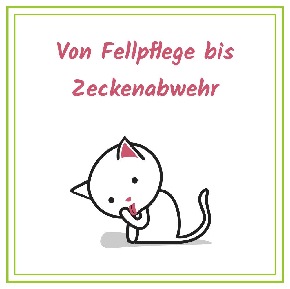 Zusatzprodukte