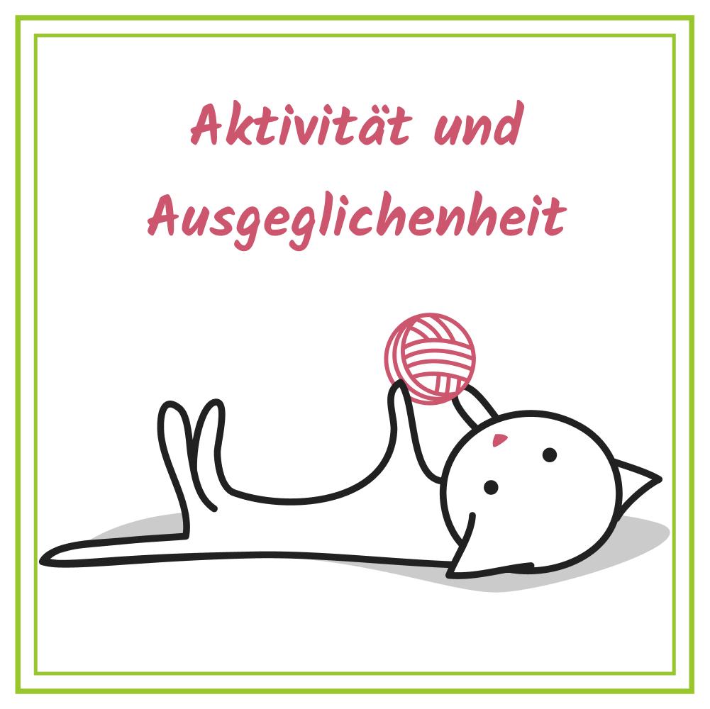 Spielzeug