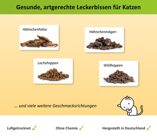 Beispielhafte Übersicht der erhältlichen Snacks für Katzen