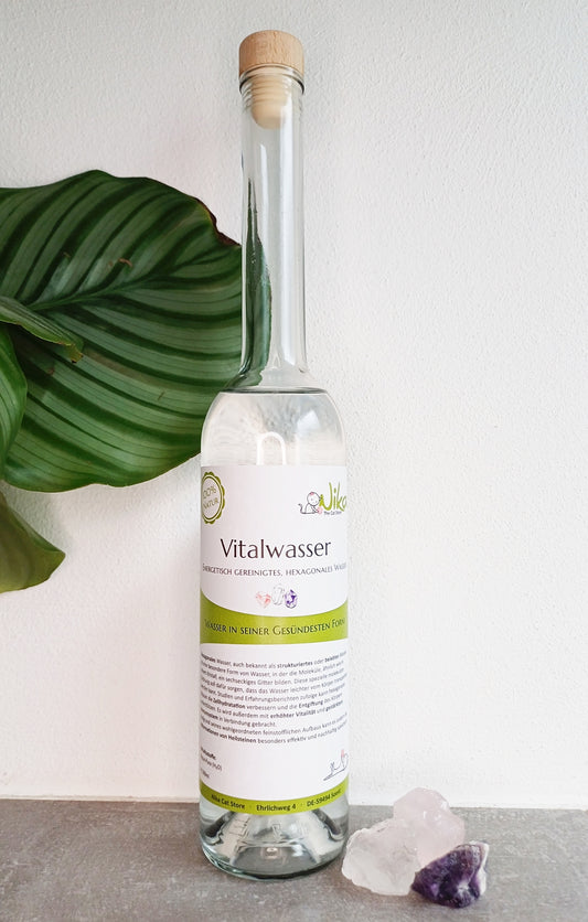 Produktbild zu hexagonalem Vitalwasser
