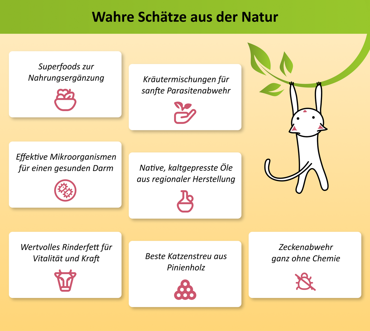 Infografik zu den erhältlichen Zusatzprodukten für Katzen (Nahrungsergaenzung, Fellpflege, Zeckenabwehr, uvm)