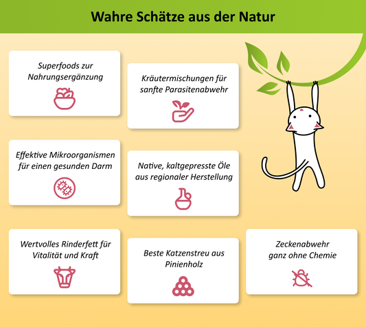 Infografik zu den erhältlichen Zusatzprodukten für Katzen (Nahrungsergaenzung, Fellpflege, Zeckenabwehr, uvm)